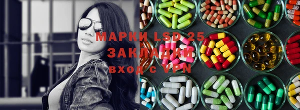 PSILOCYBIN Беломорск