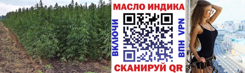Дистиллят ТГК THC oil  гидра ТОР  Томари 